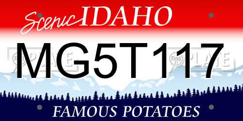 MG5T117 Idaho License Plate