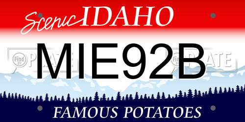 MIE92B Idaho License Plate