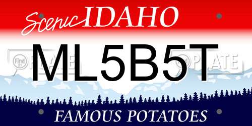 ML5B5T Idaho License Plate