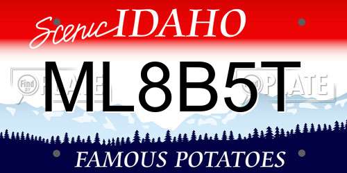 ML8B5T Idaho License Plate