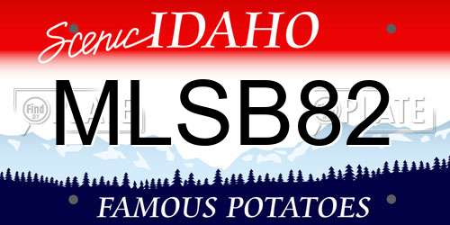 MLSB82 Idaho License Plate