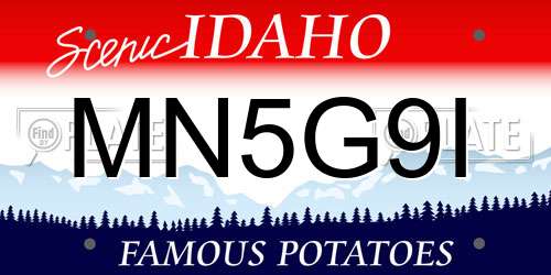 MN5G9I Idaho License Plate