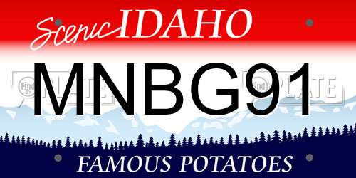 MNBG91 Idaho License Plate