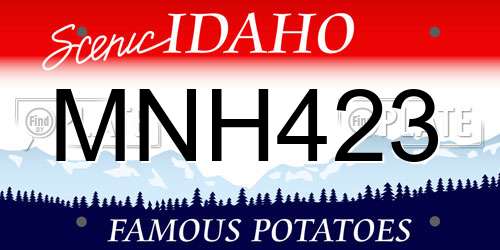 MNH423 Idaho License Plate