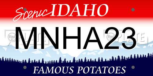 MNHA23 Idaho License Plate
