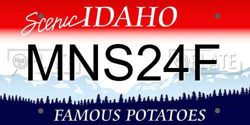 MNS24F Idaho License Plate
