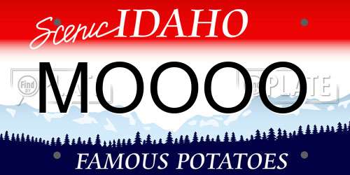 MOOOO Idaho License Plate
