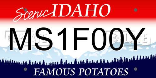 MS1F00Y Idaho License Plate