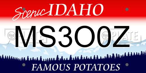 MS3O0Z Idaho License Plate