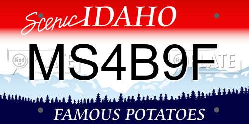 MS4B9F Idaho License Plate