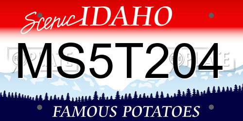 MS5T204 Idaho License Plate