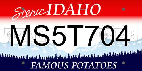 MS5T704 Idaho License Plate