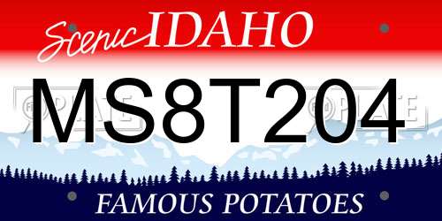 MS8T204 Idaho License Plate