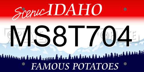 MS8T704 Idaho License Plate