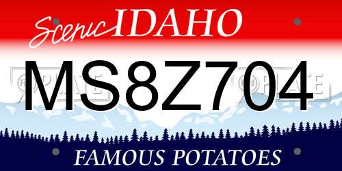 MS8Z704 Idaho License Plate