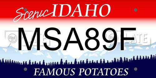 MSA89F Idaho License Plate