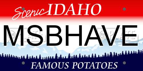 MSBHAVE Idaho License Plate