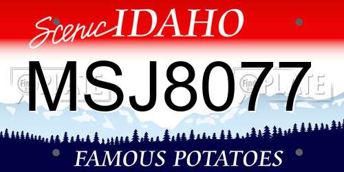 MSJ8077 Idaho License Plate