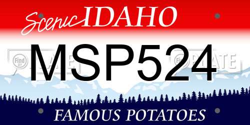 MSP524 Idaho License Plate