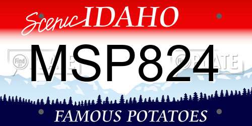 MSP824 Idaho License Plate