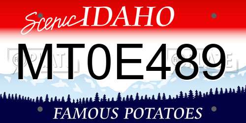 MT0E489 Idaho License Plate