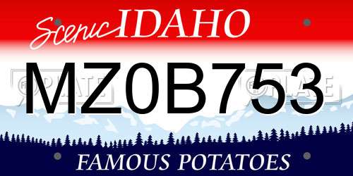 MZ0B753 Idaho License Plate