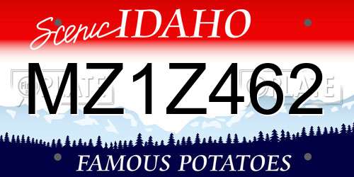 MZ1Z462 Idaho License Plate