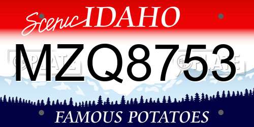 MZQ8753 Idaho License Plate