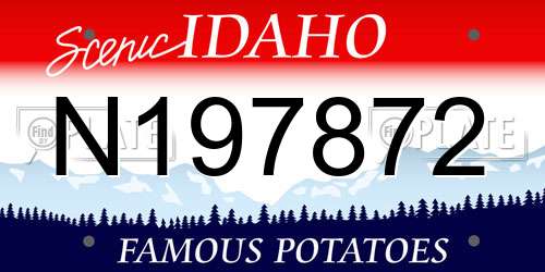 N197872 Idaho License Plate