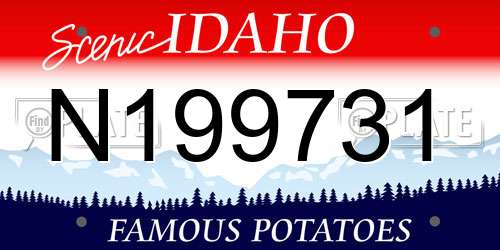 N199731 Idaho License Plate