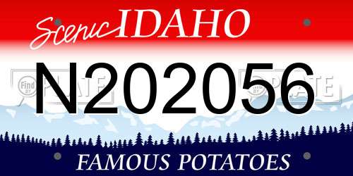 N202056 Idaho License Plate