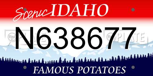N638677 Idaho License Plate