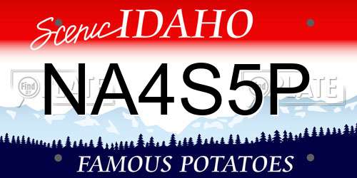 NA4S5P Idaho License Plate