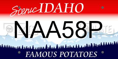 NAA58P Idaho License Plate
