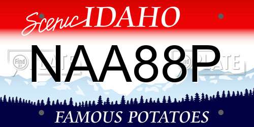 NAA88P Idaho License Plate