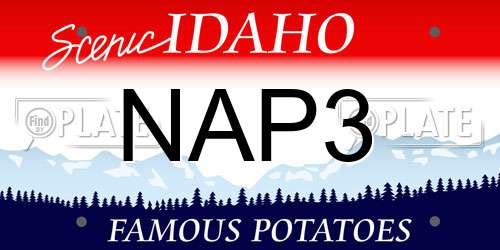 NAP3 Idaho License Plate