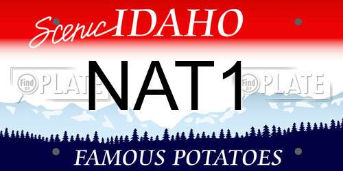 NAT1 Idaho License Plate