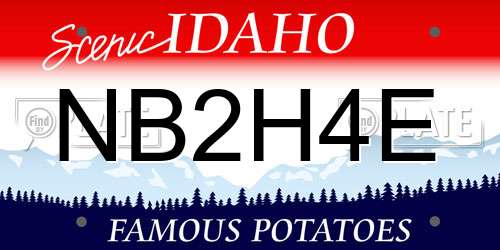 NB2H4E Idaho License Plate