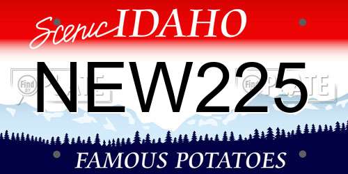 NEW225 Idaho License Plate