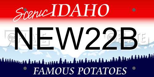 NEW22B Idaho License Plate