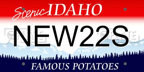 NEW22S Idaho License Plate