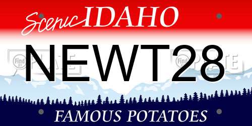 NEWT28 Idaho License Plate