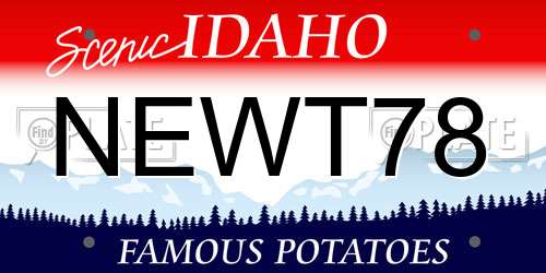 NEWT78 Idaho License Plate