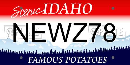 NEWZ78 Idaho License Plate