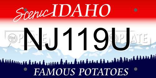 NJ119U Idaho License Plate