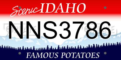 NNS3786 Idaho License Plate