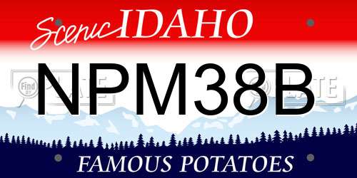 NPM38B Idaho License Plate