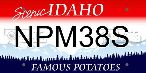 NPM38S Idaho License Plate