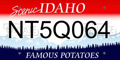 NT5Q064 Idaho License Plate
