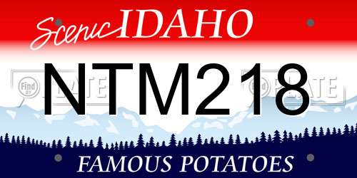 NTM218 Idaho License Plate